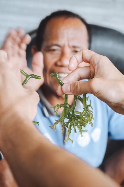 Nusa Penida: Sustainable Seaweed Farming & East Tour - Sustainable Seaweed Farming