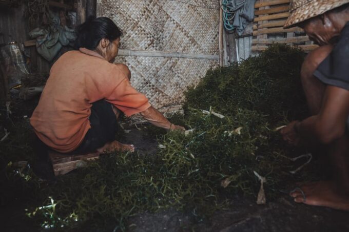 Nusa Penida: Sustainable Seaweed Farming & East Tour - Frequently Asked Questions