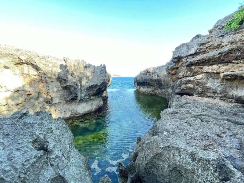 Nusa Penida: Tour 1 day West Coast with Local Guide - Key Points