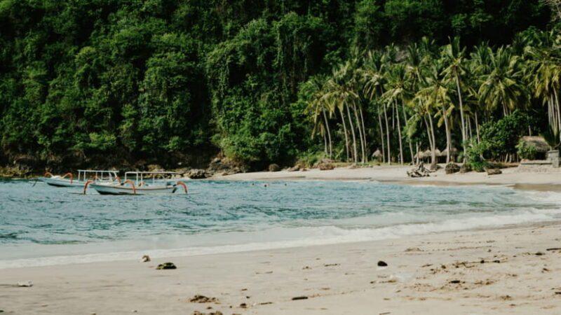 Nusa Penida Tour : Day Trip from Bali - Hotel Transfer - The Sum Up