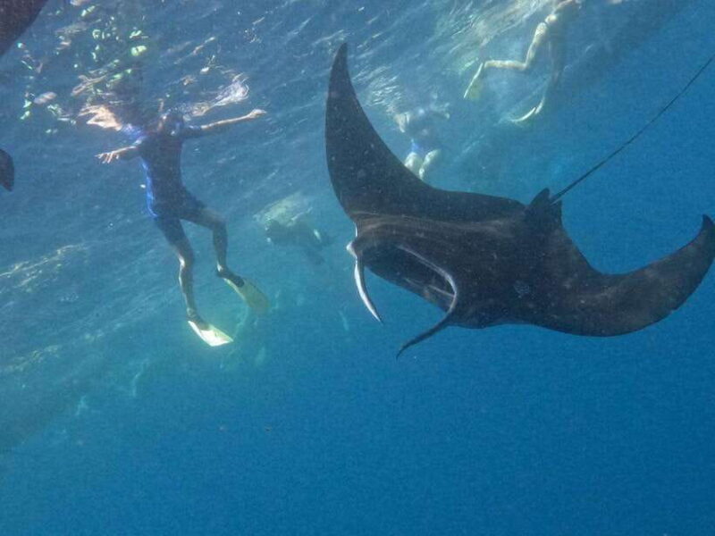 Nusapenida Snorkeling and Land Tour - Key Points