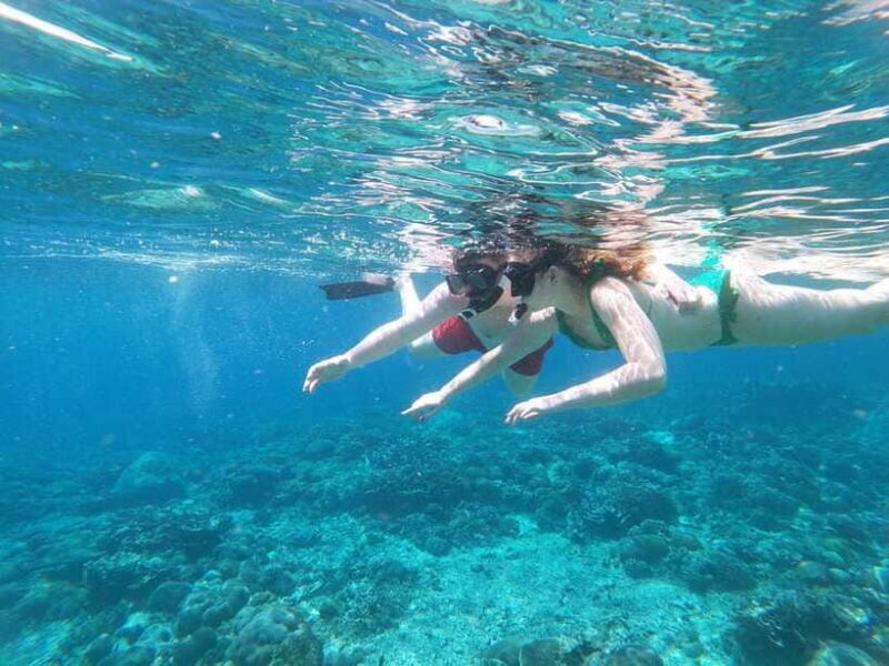 Nusapenida Snorkeling and Land Tour - The Sum Up