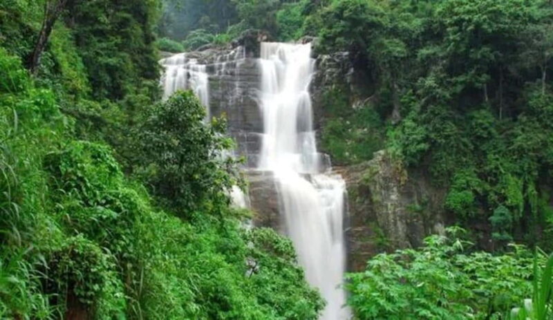 Nuwara Eliya: Guided Tour with Tea Factory Visit - Key Points