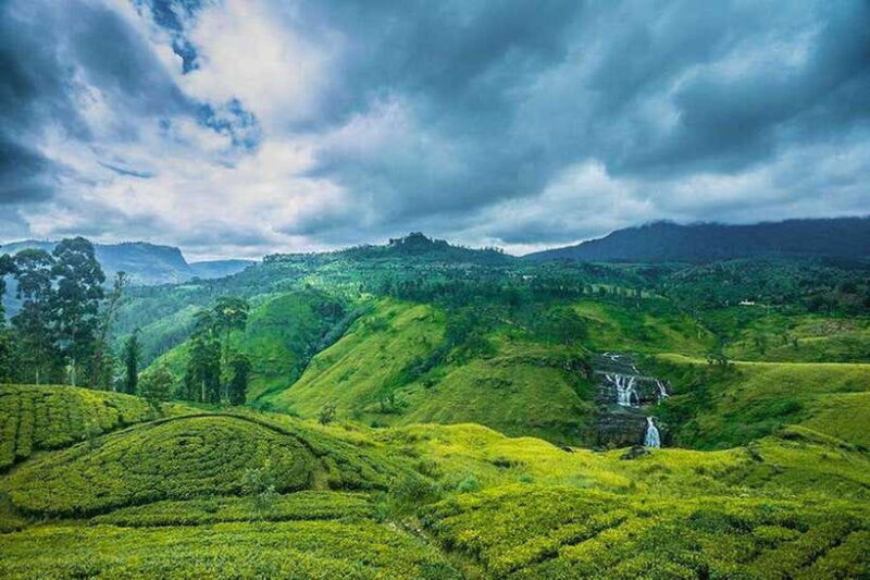 Nuwara Eliya: Guided Tour with Tea Factory Visit - Discovering Nuwara Eliya: The Heart of Sri Lanka’s Hill Country