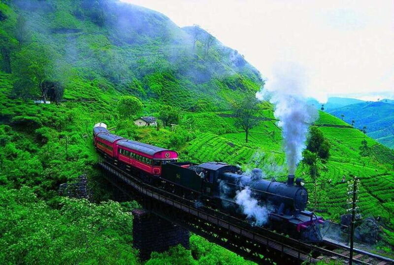 Nuwara Eliya: Guided Tour with Tea Factory Visit - Victoria Park: A Sanctuary for Birdwatchers and Nature Lovers