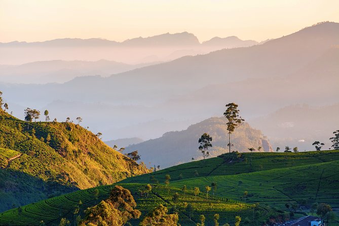 Nuwara Eliya Highlands From Kandy - Exploring Ramboda Falls
