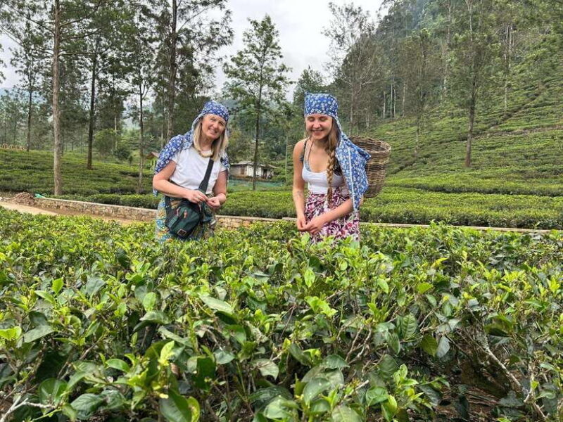 Nuwara Eliya: Private Sightseeing Tuk-Tuk Tour - Nuwara Eliya: Private Sightseeing Tuk-Tuk Tour – A Practical Guide