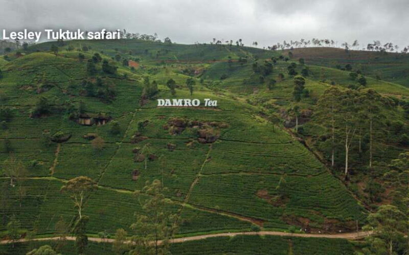 Nuwara Eliya: Sightseeing Tour and Drop With Local Guide - Frequently Asked Questions