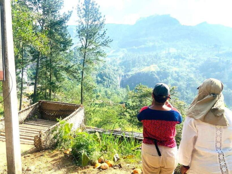 Nuwara Eliya: Tea Factory and Pickle Waterfalls Tuk Tuk Tour - Authentic Experiences and Cultural Insights
