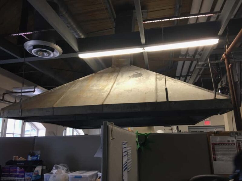 NY Mafia & Haunted Ghost Tour Ellis Island Statue of Liberty - Final Thoughts