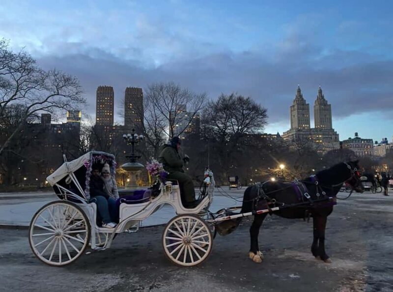 NYC: Amazing Central Park Horse and Carriage Ride with Guide - Key Points