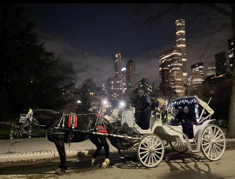 NYC: Amazing Central Park Horse and Carriage Ride with Guide - Guides and Personalization