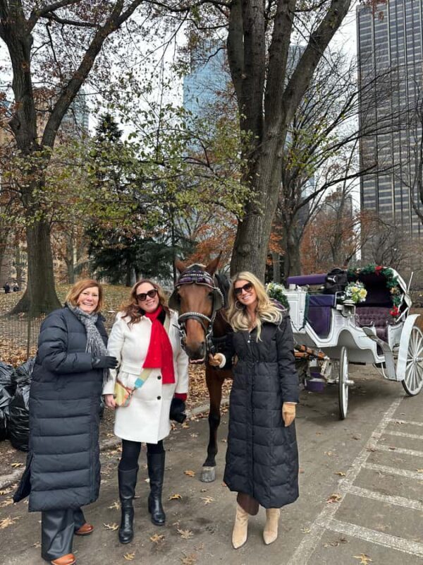 NYC: Amazing Central Park Horse and Carriage Ride with Guide - Comfort and Practicalities