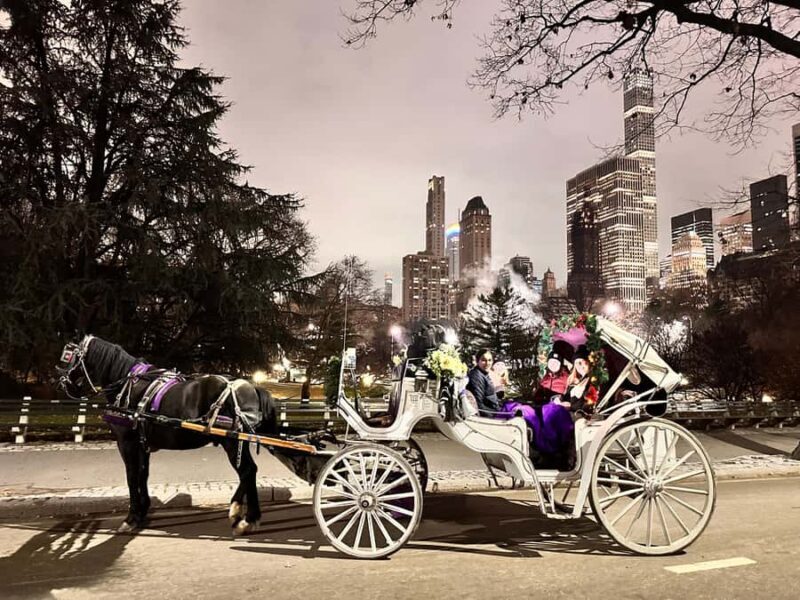 NYC: Amazing Central Park Horse and Carriage Ride with Guide - The Sum Up