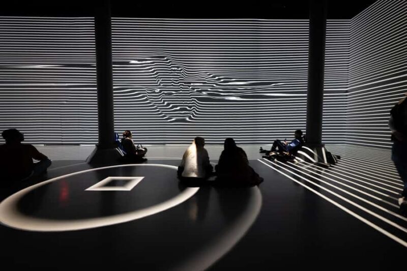 NYC: ARTECHOUSE Immersive Art Experience Entrance Ticket - What to Expect During Your Visit