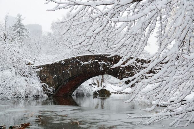 NYC: Best Of Central Park Self-Guided Scavenger Hunt & Tour - Booking and Cancellation Policy