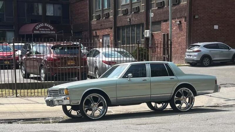 NYC: Bronx Subway and Walking Tour with Bronx Little Italy - Key Points