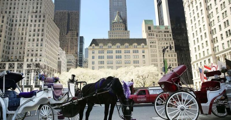 NYC: Central Park Christmas Lights Horse-Drawn Carriage Ride - A Detailed Look at the Experience