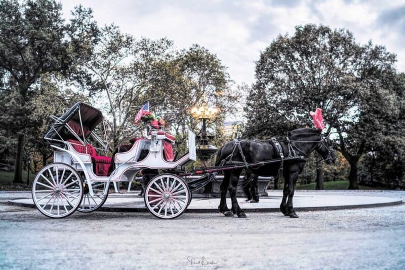 NYC: Central Park Christmas Lights Horse-Drawn Carriage Ride - FAQ