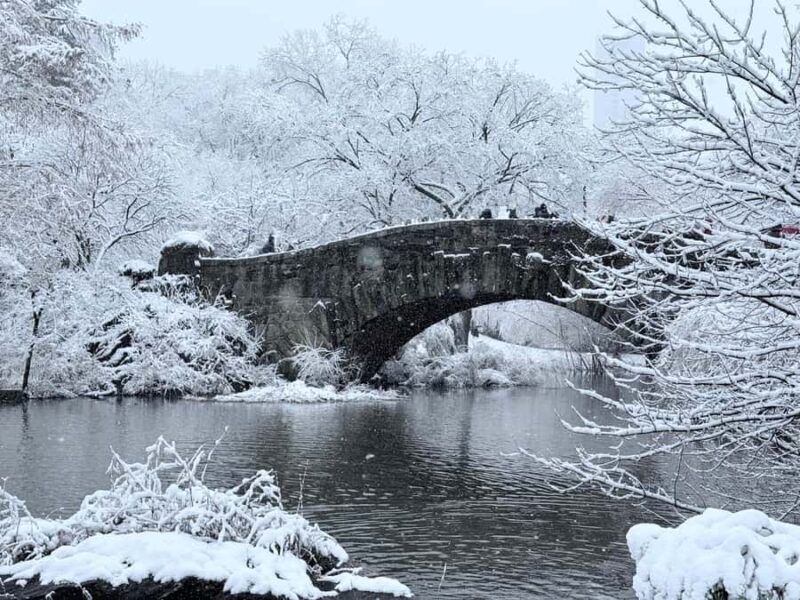 NYC: Central Park Guided Bike Tour with Movie Locations - An In-Depth Look at the Central Park Bike Tour
