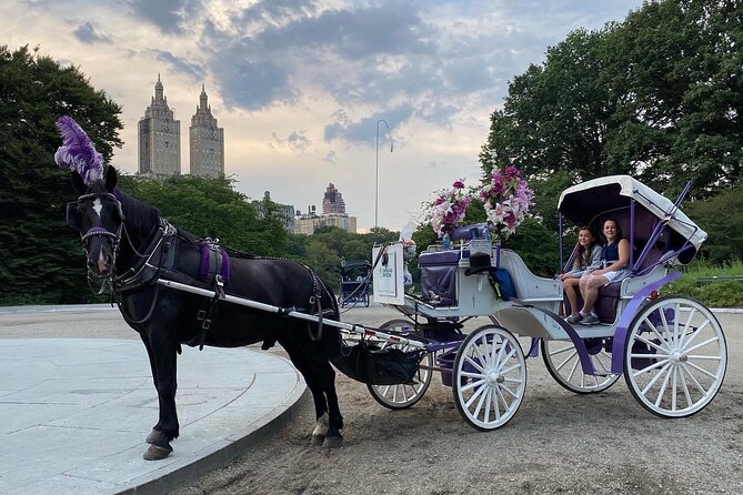 NYC Central Park Horse Carriage Rides - Included Amenities