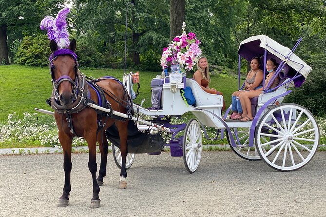 NYC Central Park Horse Carriage Rides - Ratings and Reviews