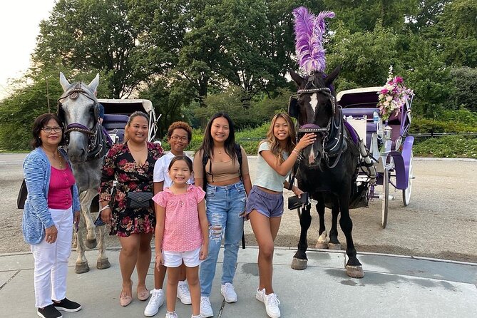 NYC Central Park Horse Carriage Rides - Participation Requirements