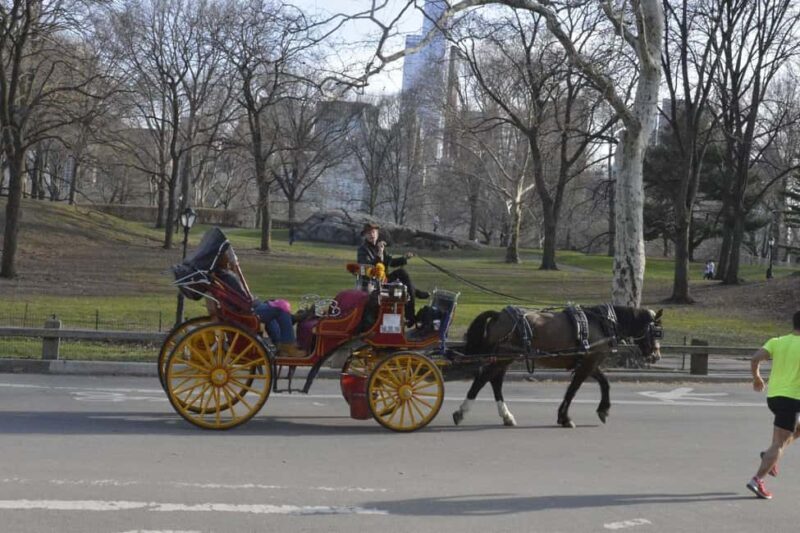 NYC: Central Park Horse-Drawn Carriage Ride - An In-Depth Look at the Central Park Carriage Ride