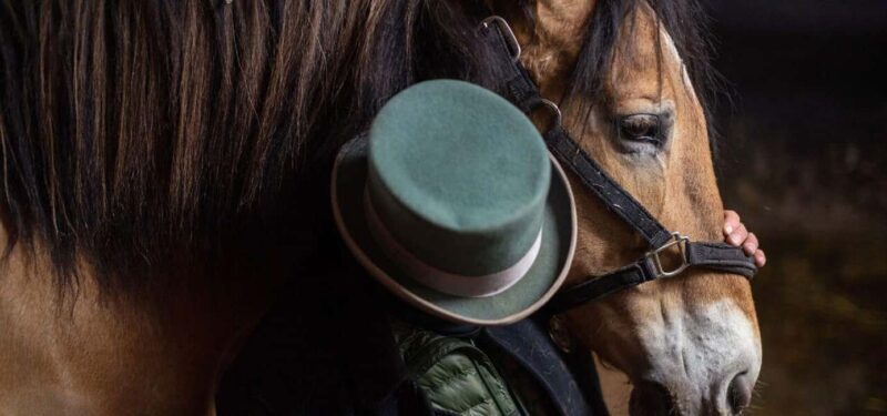 NYC: Central Park Horse-Drawn Carriage Ride - The Sum Up