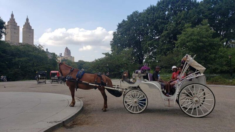 NYC: Central Park Horse-Drawn Carriage Ride - FAQ