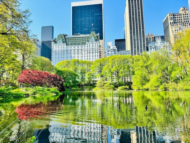 NYC: Central Park Pedicab Tour with Photo Stops - Exploring Central Park on a Pedicab: What to Expect