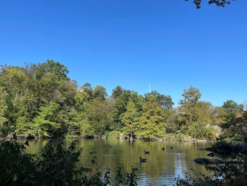 NYC Central Park Pedicab Tours - Starting Location and Tour Duration