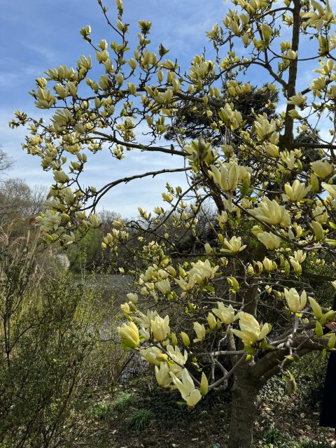 NYC Central Park Pedicab Tours - Booking and Payment Information