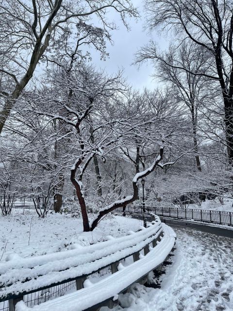 NYC Central Park Pedicab Tours - Recap