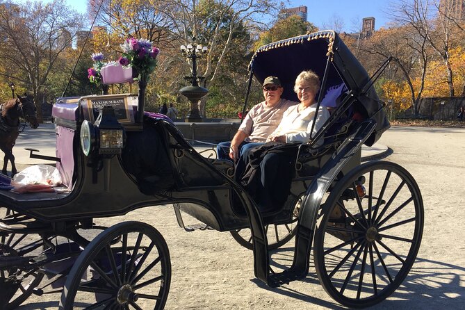 NYC Central Park VIP Horse and Carriage Ride - Highlights of the Central Park Tour