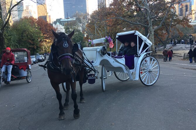 NYC Central Park VIP Horse and Carriage Ride - Accessibility and Accommodations