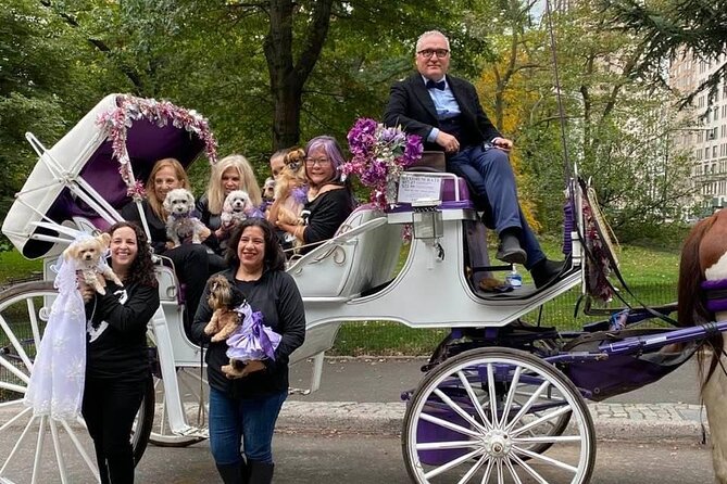 NYC Central Park VIP Horse and Carriage Ride - Traveler Reviews and Testimonials
