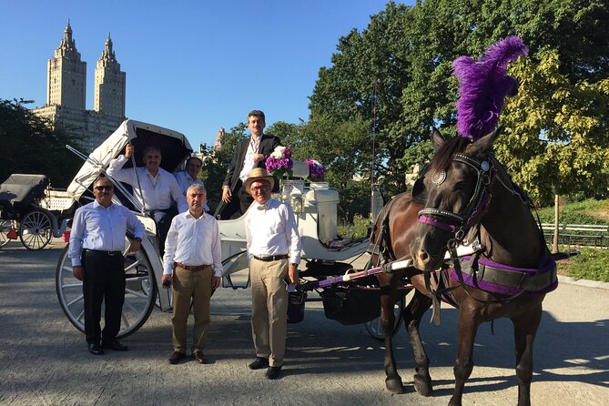 NYC Central Park VIP Horse and Carriage Ride - Sum Up