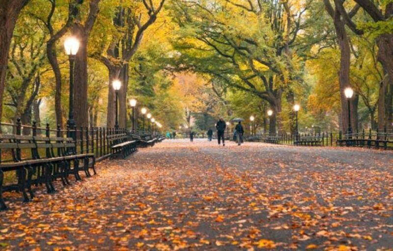 NYC: Central Park Zoo & Central Park Guided Walking Tour - Who Will Love This Tour?