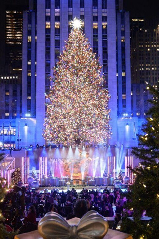 NYC: Dyker Heights and NYC Holiday Lights Luxury Bus Tour - Final Thoughts