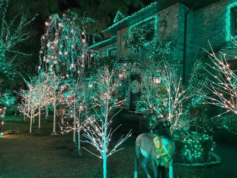 NYC: Dyker Heights Christmas Lights Tour with Guide - What’s the Value?