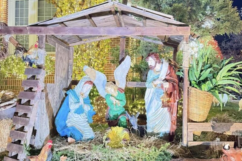 NYC: Dyker Heights Christmas Lights Trolley Tour - Key Points