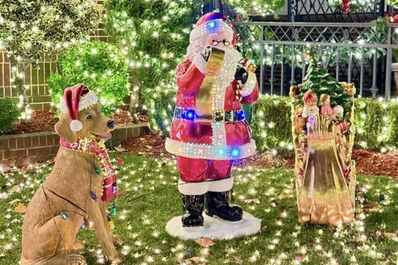 NYC: Dyker Heights Christmas Lights Trolley Tour - Assessing the Experience Based on Reviews