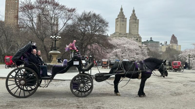 NYC: Empire State Horses Carriage Ride in Central Park - Is It Worth It?