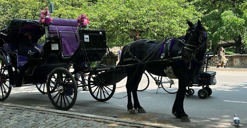NYC: Empire State Horses Carriage Ride in Central Park - FAQ