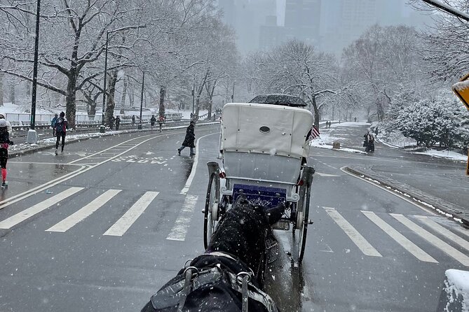 NYC Empire State Horses Carriage Ride in Central Park(55 Min) - Good To Know