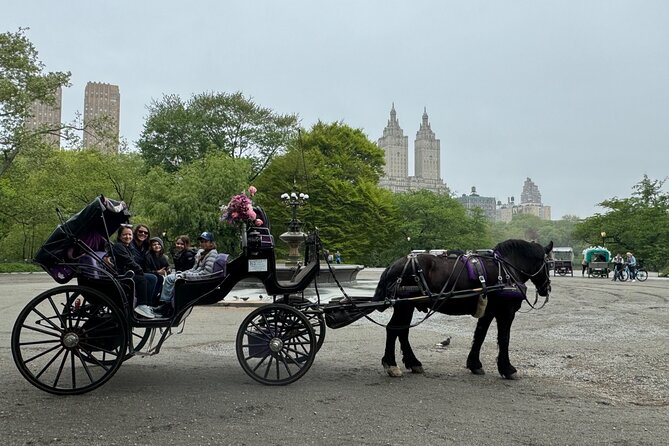 NYC Empire State Horses Carriage Ride in Central Park(55 Min) - Meeting and End Points
