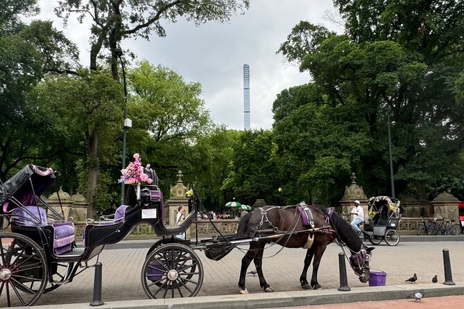 NYC Empire State Horses Carriage Ride in Central Park(55 Min) - Accessibility Features