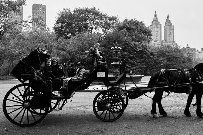 NYC Empire State Horses Carriage Ride in Central Park(55 Min) - The Perfect Group Activity