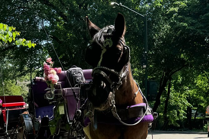 NYC Empire State Horses Carriage Ride in Central Park(55 Min) - The Sum Up